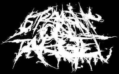 logo Straight On Target